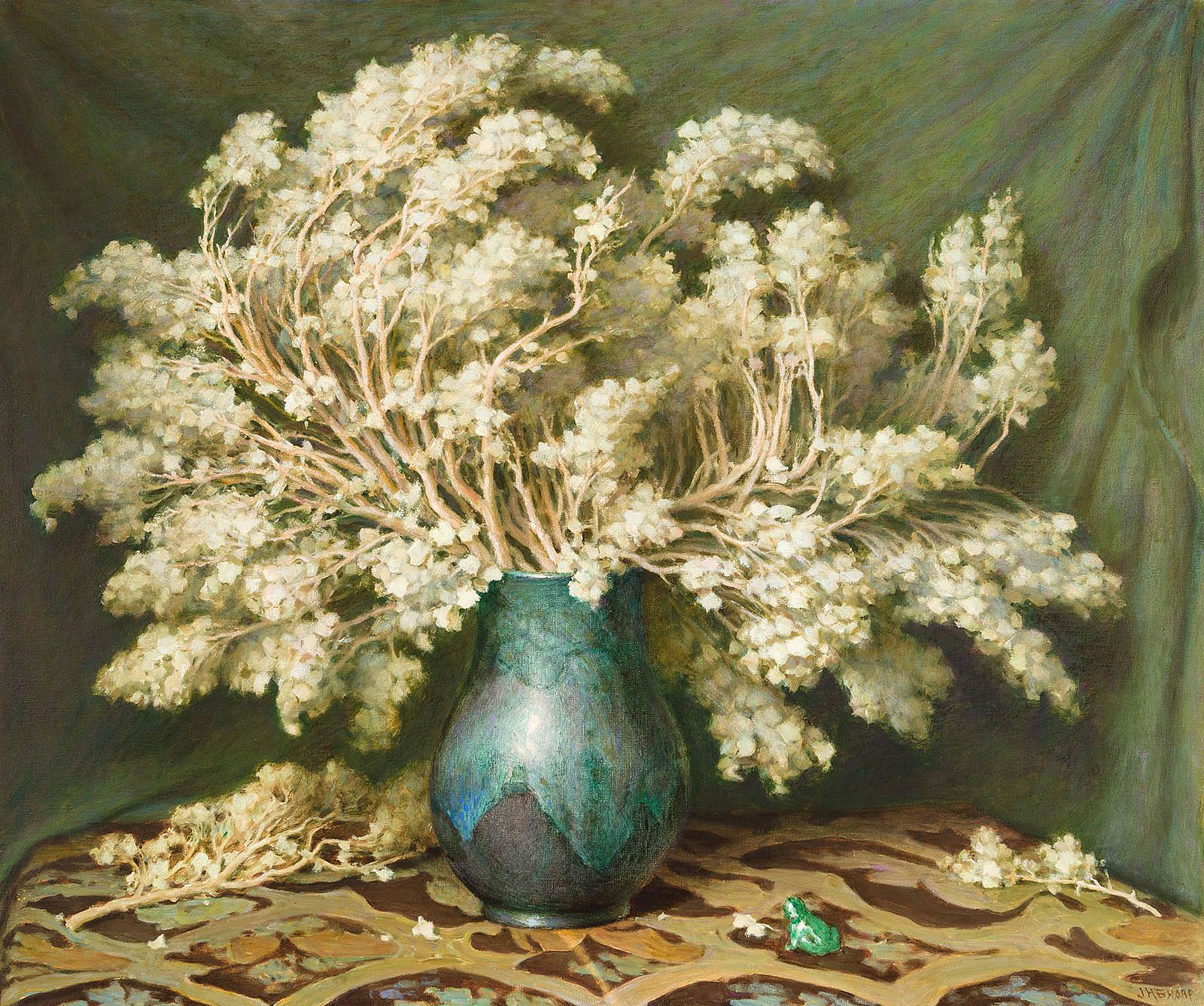 Desert Holly